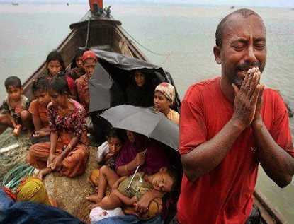 缅甸迫害的根源不是来自佛教徒,而是因为达尔文主义心态 